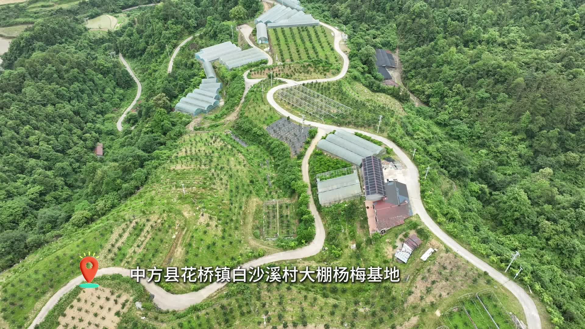 中方县白沙溪村：大棚杨梅迎丰收 果香四溢助振兴