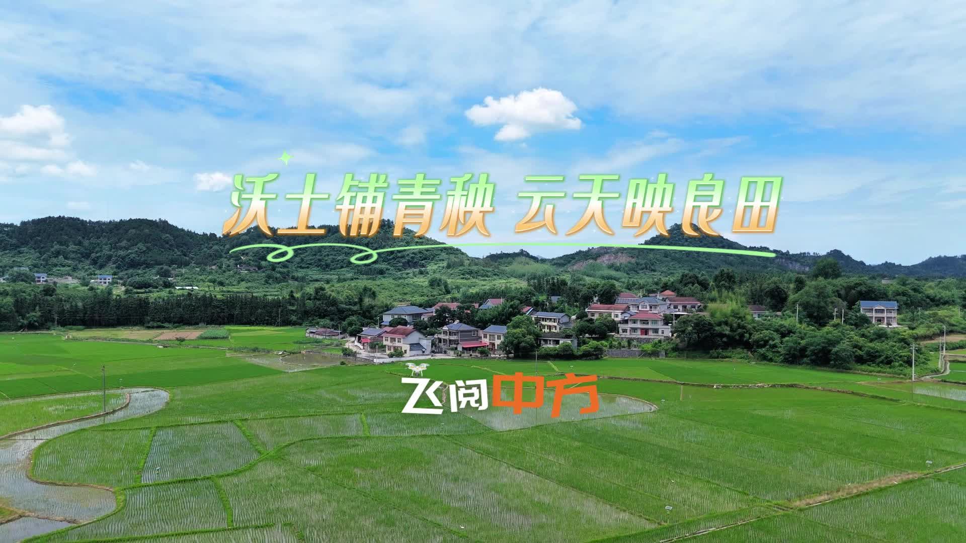 飞阅中方|沃土铺青秧 云天映良田
