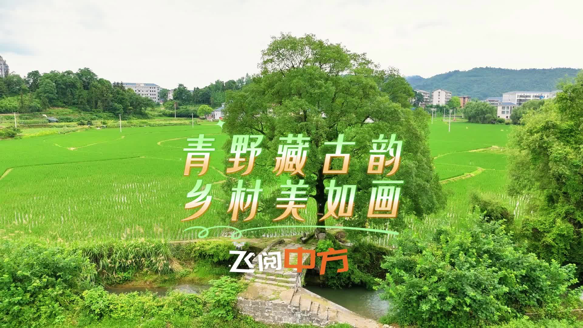 飞阅中方|青野藏古韵 乡村美如画