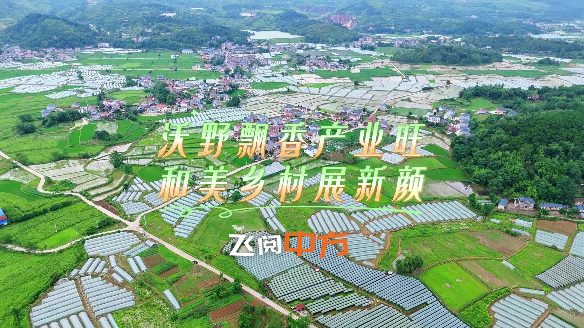 飞阅中方|沃野飘香产业旺 和美乡村展新颜