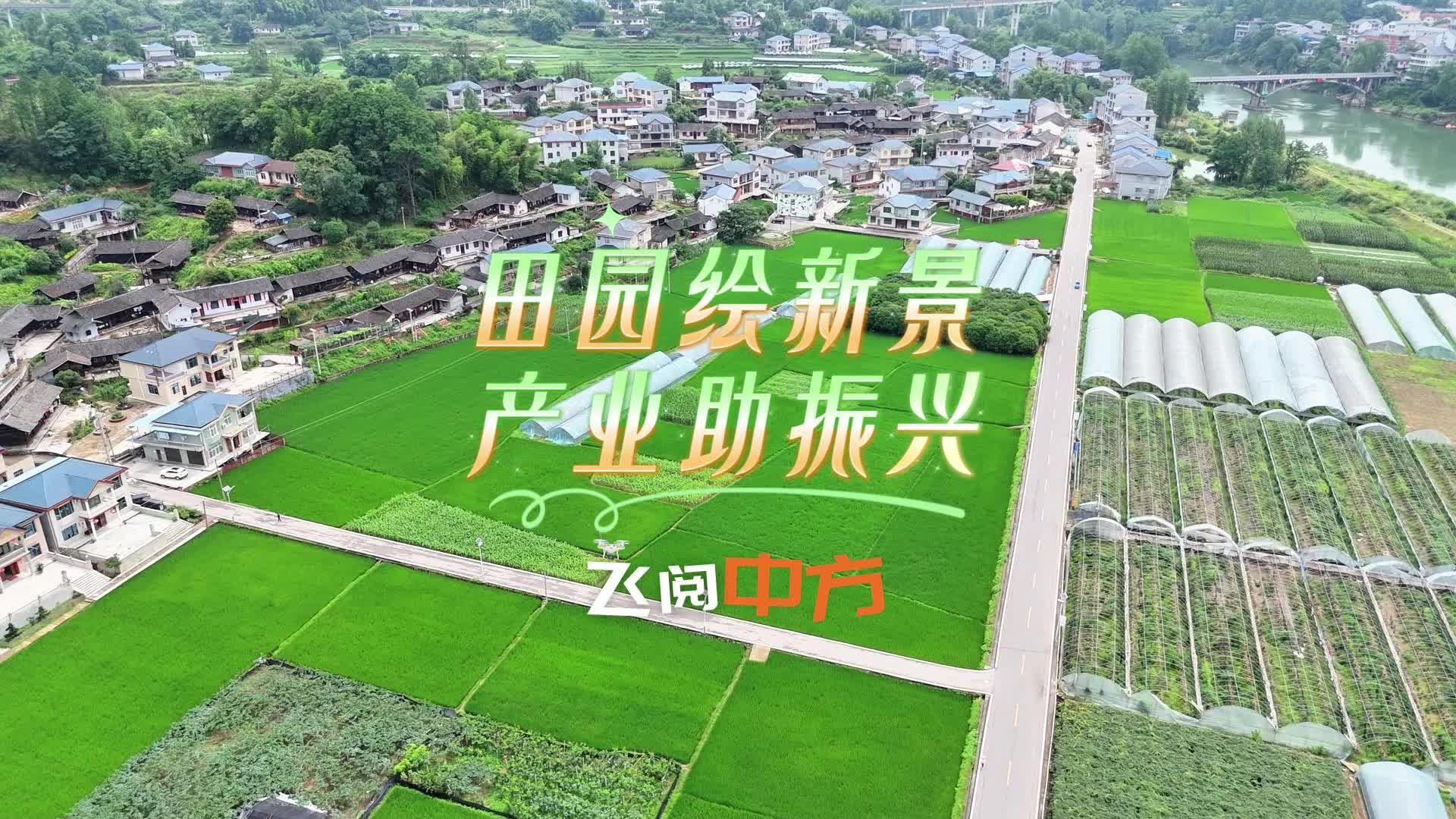 飞阅中方|田园绘新景 产业助振兴