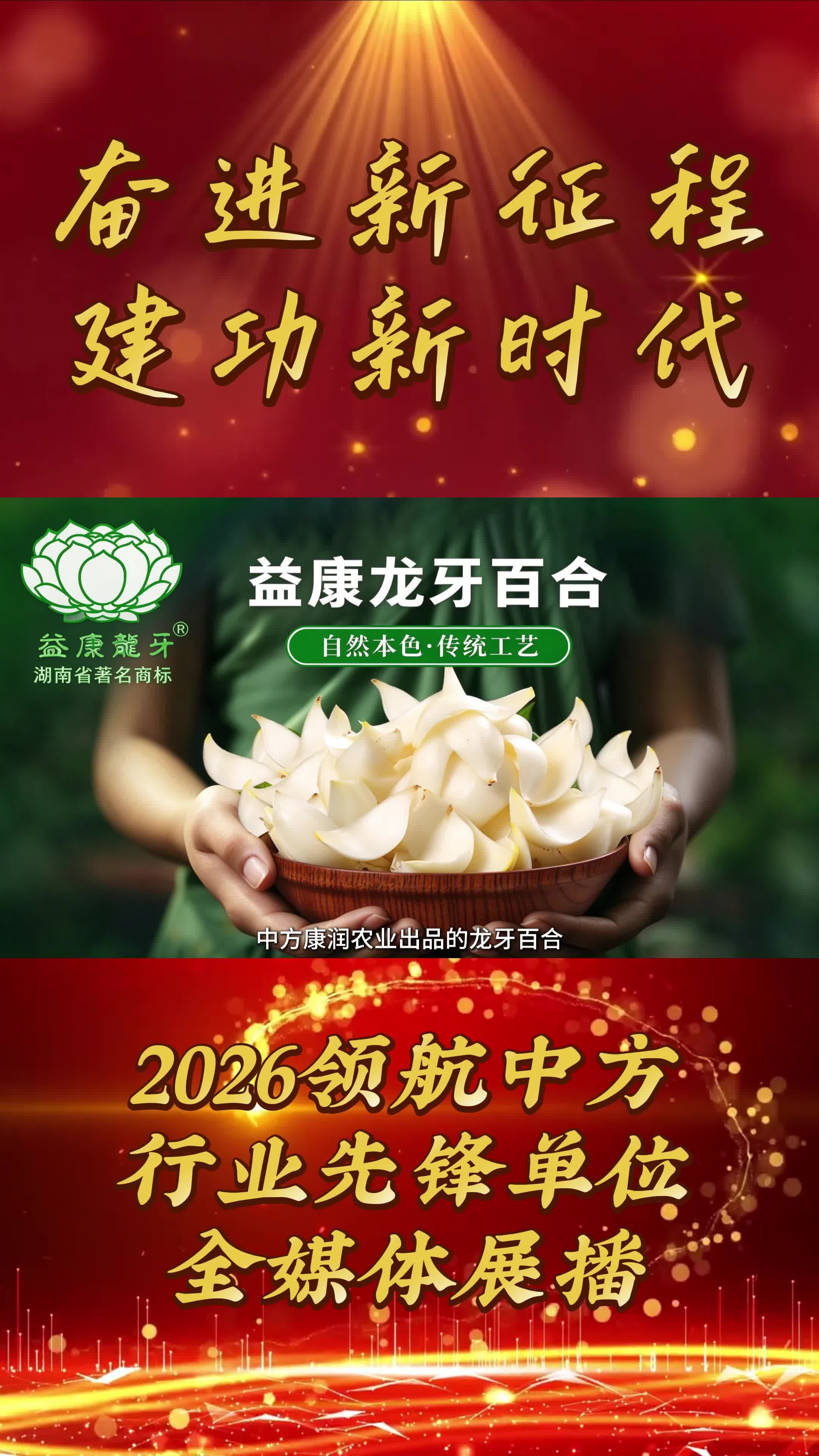 2026领航中方县行业先锋品牌全媒体展播