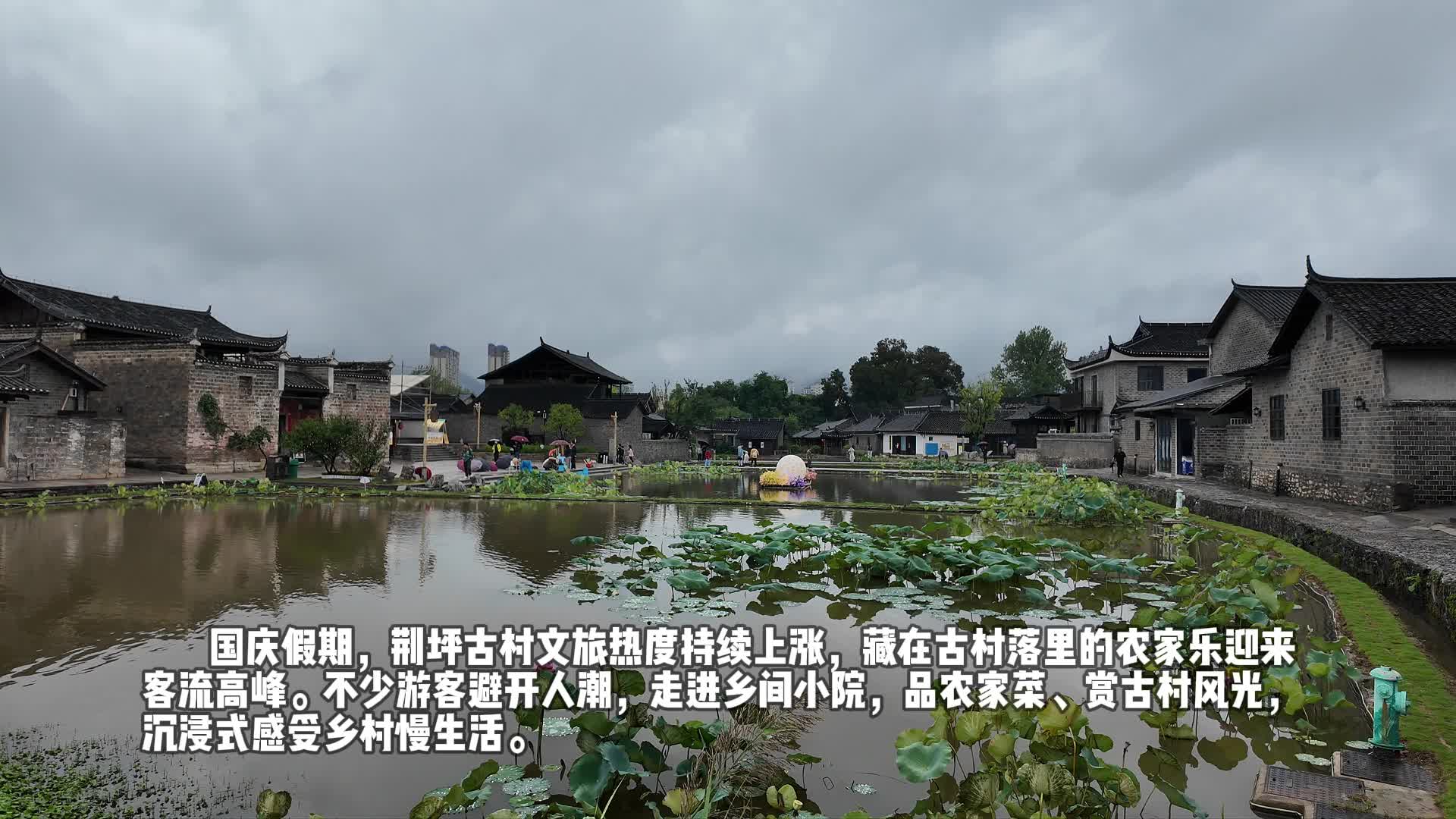 视频丨荆坪农家乐热度攀升 国庆假期乡村烟火气十足