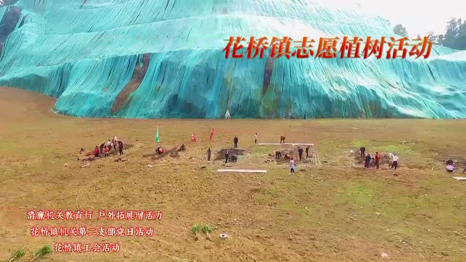 视频｜花桥镇：清廉机关教育行  志愿植树增活力
