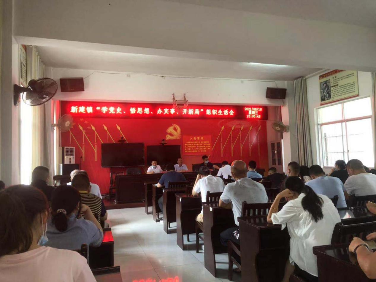 新建镇：党史学习教育专题组织生活会召开