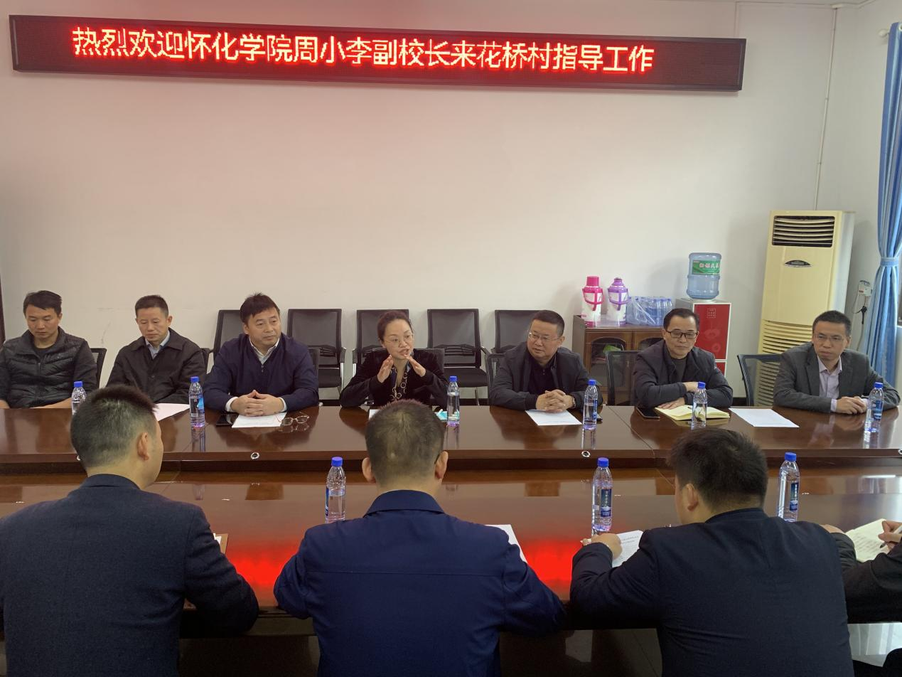 怀化学院副校长周小李率队来花桥村调研指导乡村振兴工作
