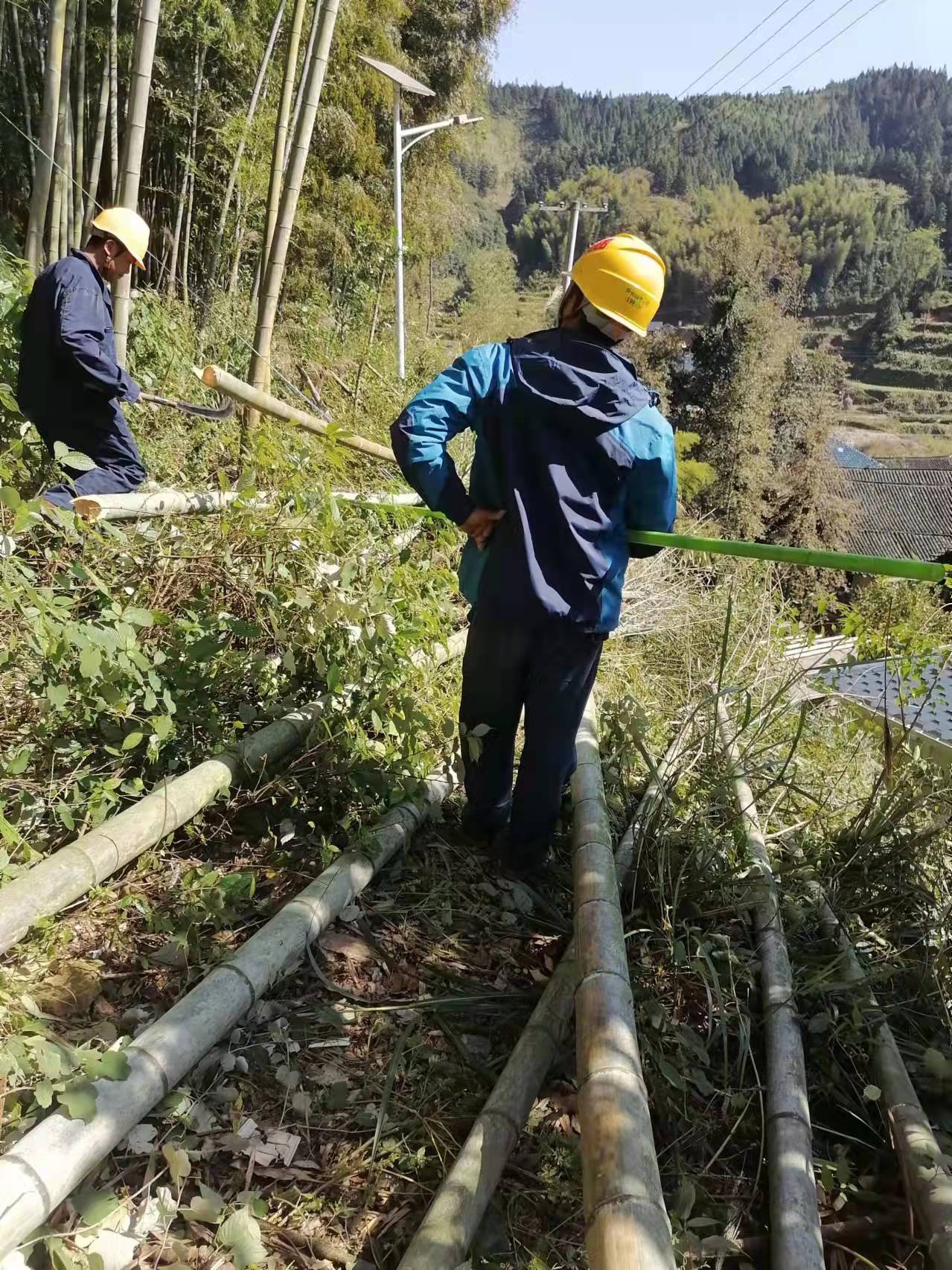 国网中方县供电公司：持续开展砍青扫障 确保线路安全可靠