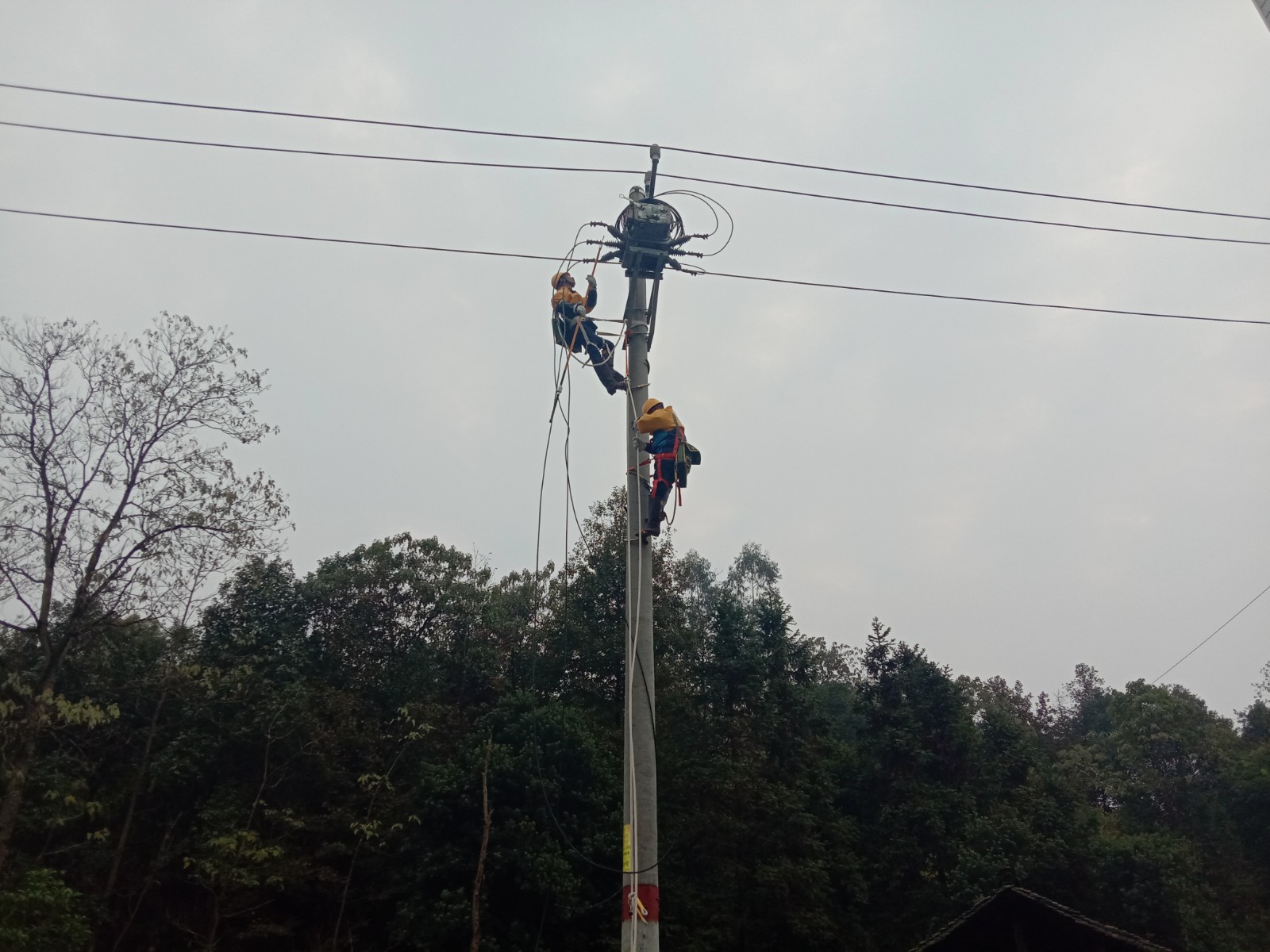 国网中方县供电公司：实训练兵 加强带电作业队伍建设