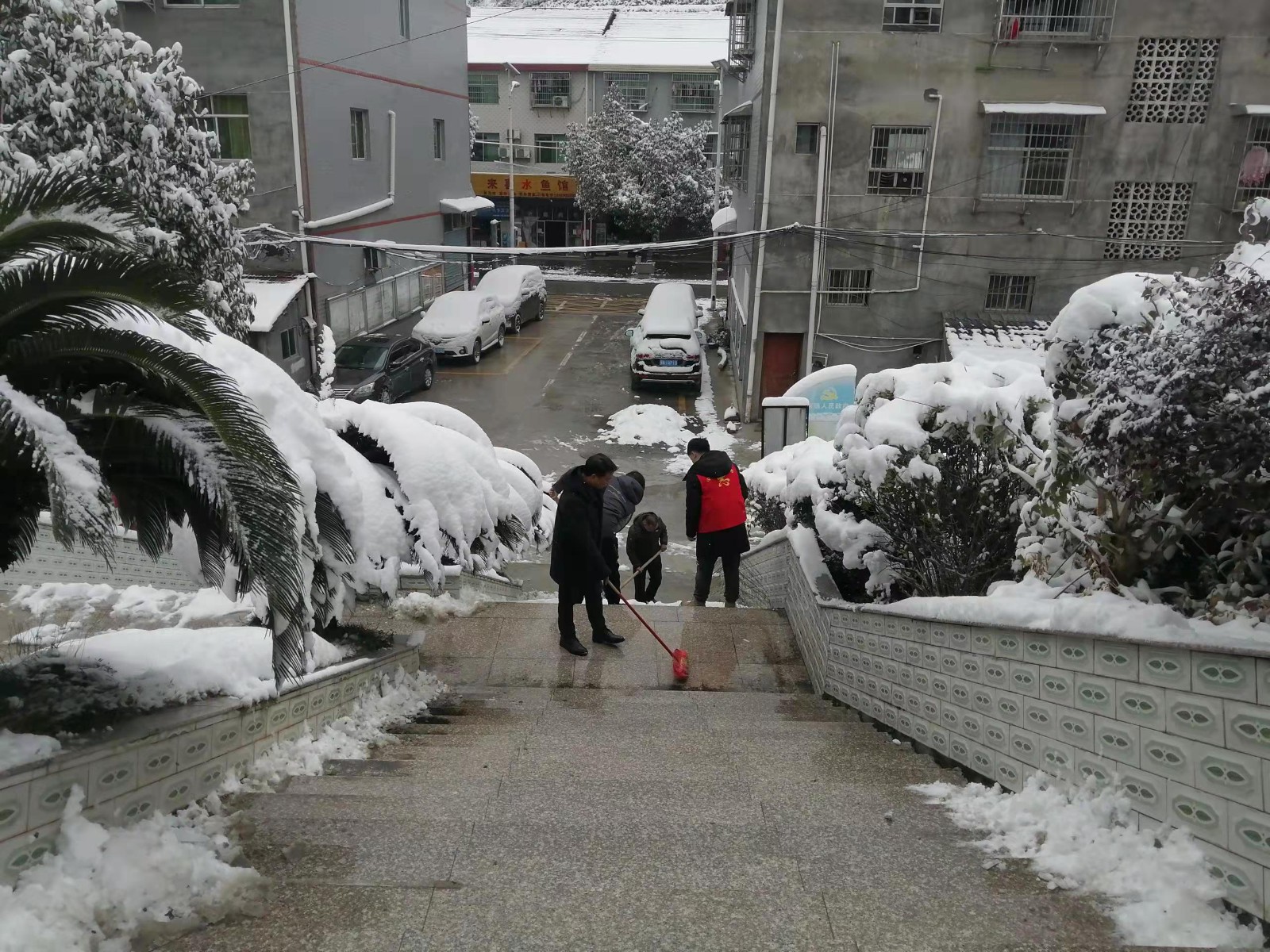 新路河镇：冬月初雪漫天飞 铲雪行动暖人心