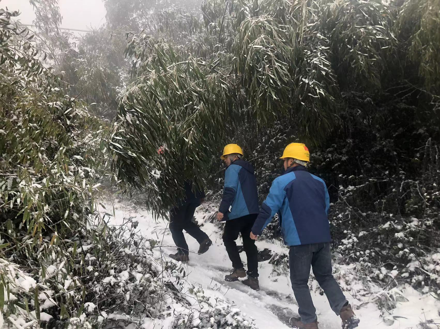 国网中方县供电公司：雪后特巡保供电