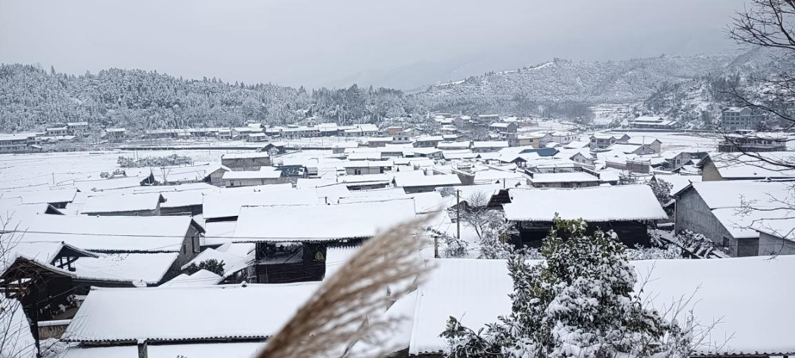 铜湾镇：雪情就是命令 安全就是使命 行动刻不容缓