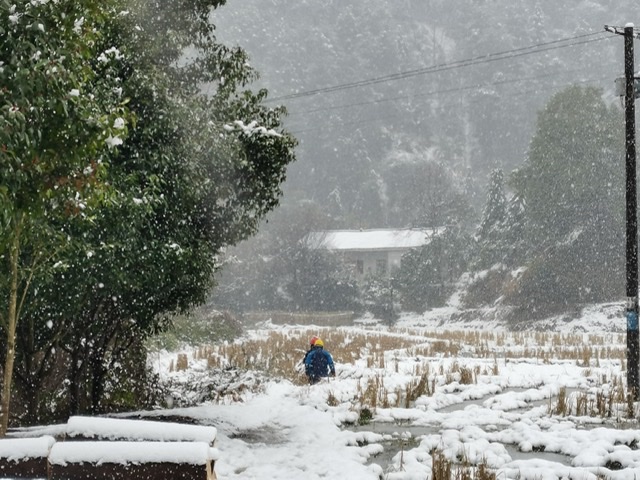 国网中方县供电公司：冰雪试“金”  干出力度   拼出速度