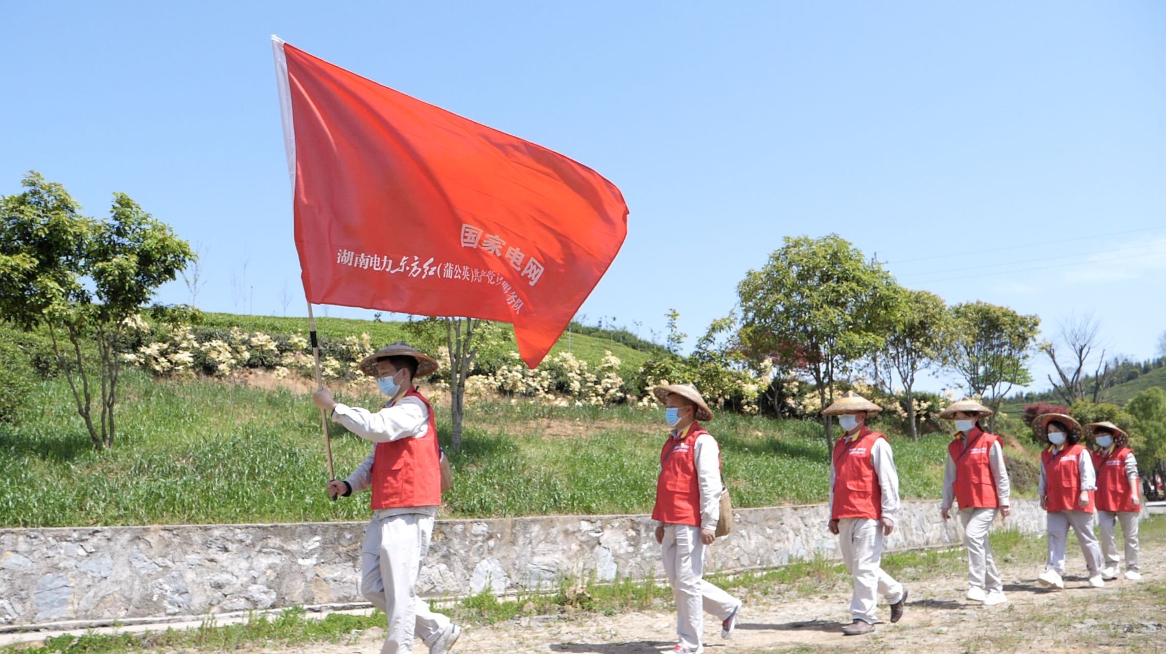 国网中方县供电公司：党旗引领 助农采茶