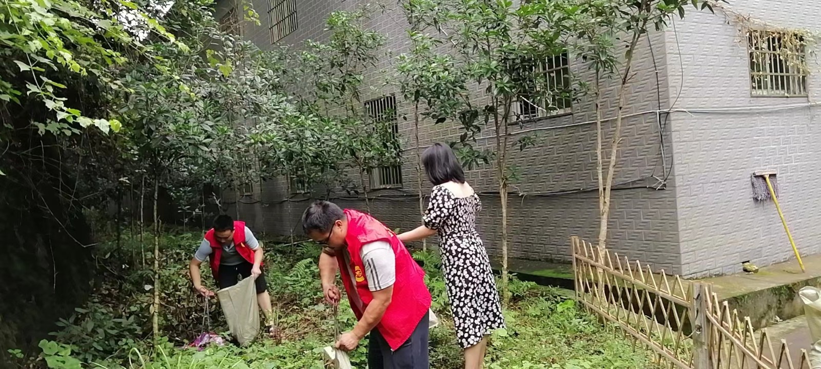中方县泸阳镇：党建“红”引领环境“绿”