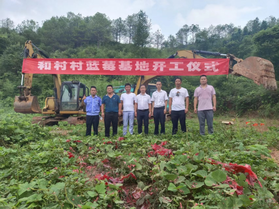 中方县铜湾镇和村村蓝莓基地开工  “小蓝莓”建设“大产业”