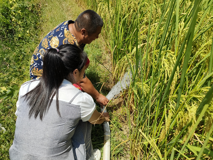 中方县铜湾镇梅树村：抗旱服务送到田间地头
