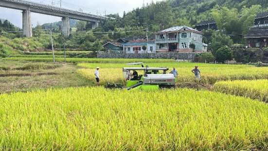 中方县新建镇：农机在希望的田野上奏响丰收乐章