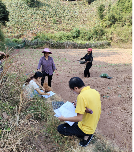 中方县统计局田间地头访民情