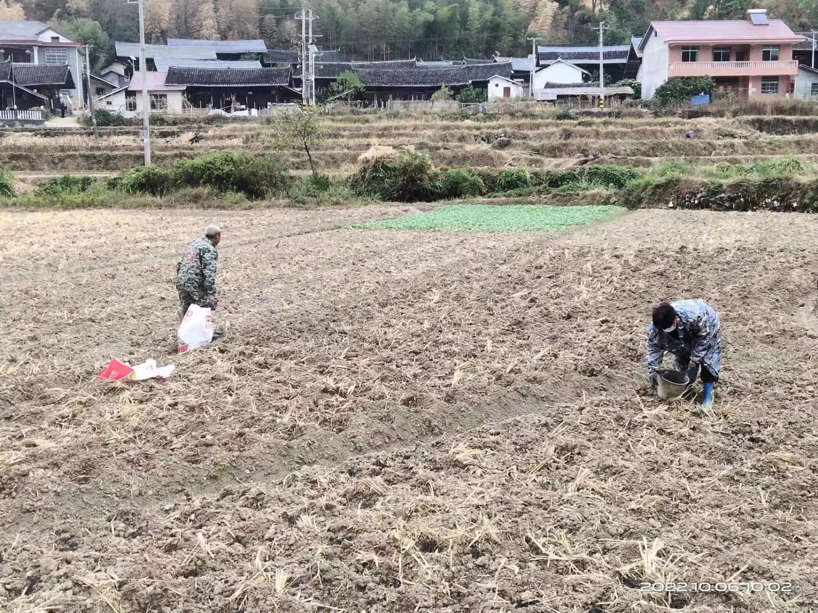 中方县新建镇黄金村：秋耕农忙当时节