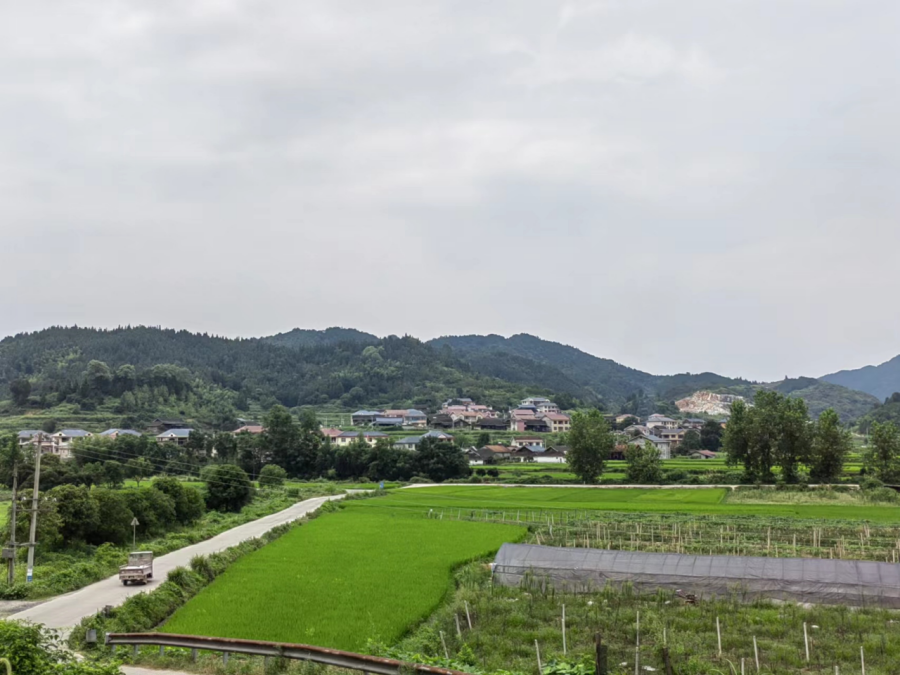 新建镇牛眠口村：以环境美赋能乡村兴