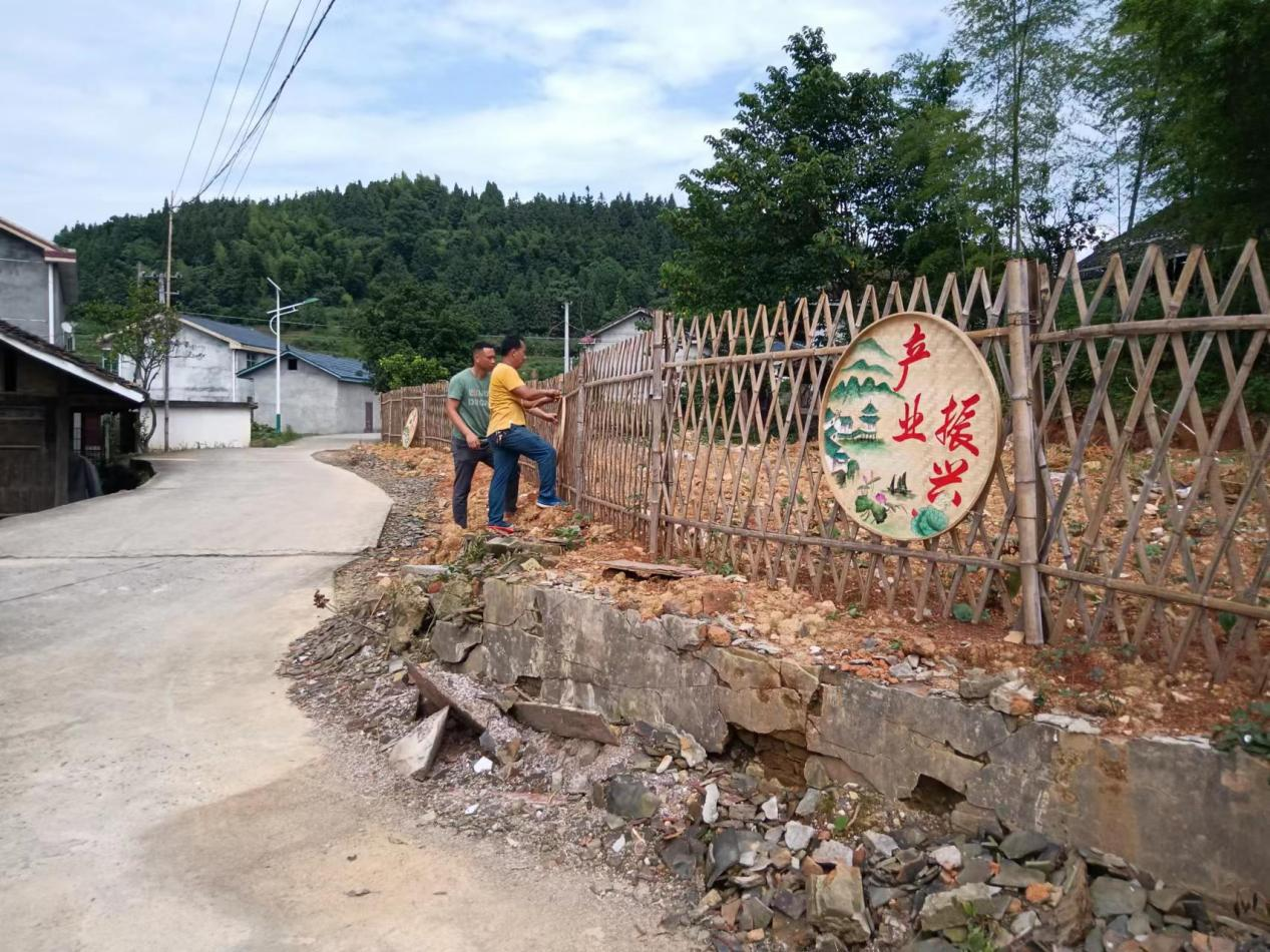 新建镇：奏响人居环境整治“进行曲”
