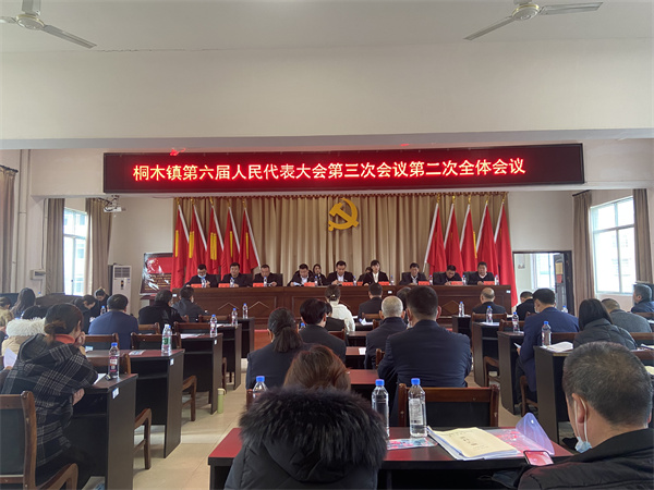 中方县桐木镇第六届人民代表大会第三次会议胜利召开