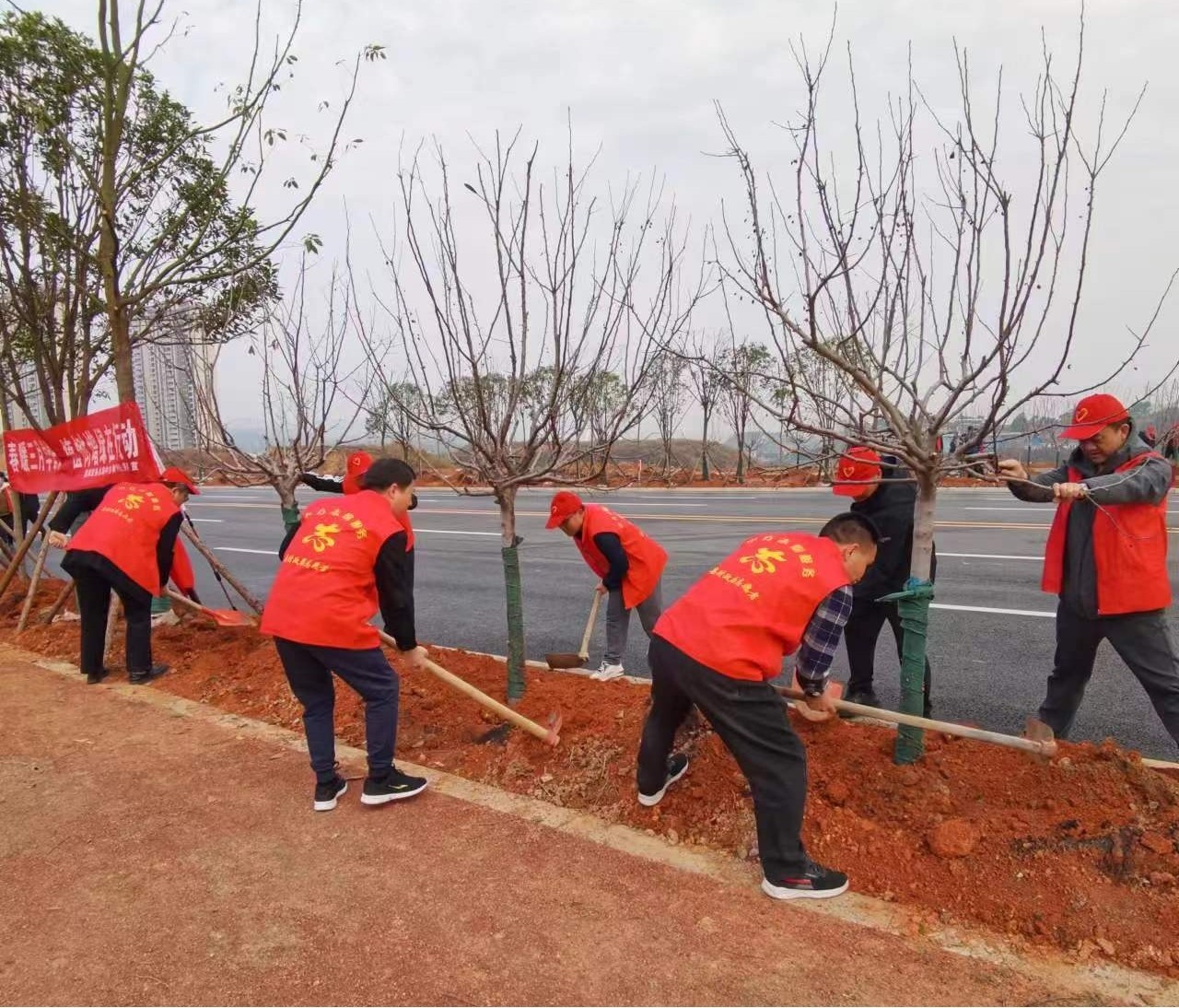 中方县财政局组织开展义务植树活动