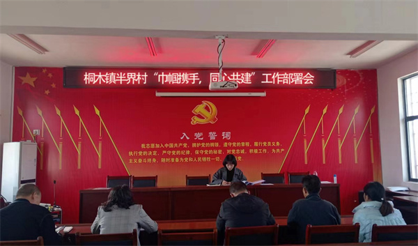 桐木镇开展“巾帼携手 同心共建”结对帮扶活动