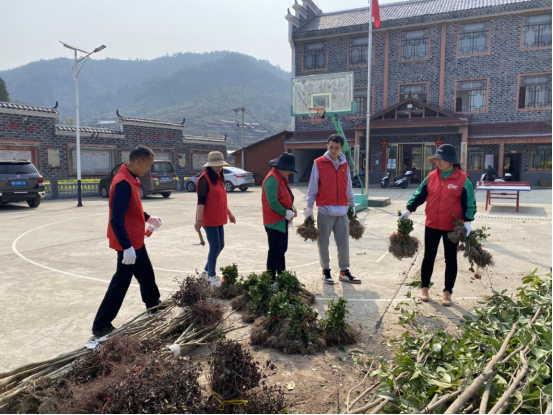 中方县铜鼎镇：义务植树添新绿，人居环境焕新颜