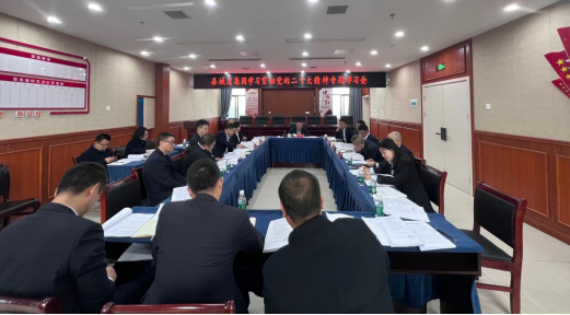 县城发集团召开学习贯彻党的二十大精神专题学习会