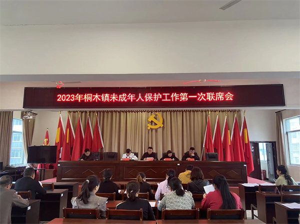 中方县桐木镇召开未成年人保护工作第一次联席会议