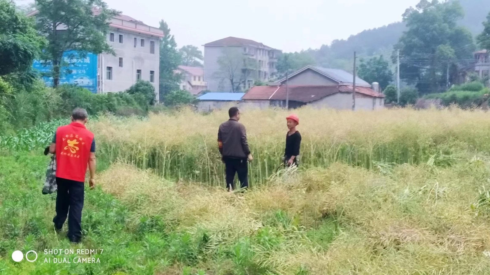 中方县花桥镇：加强秸秆禁烧 创造美好环境