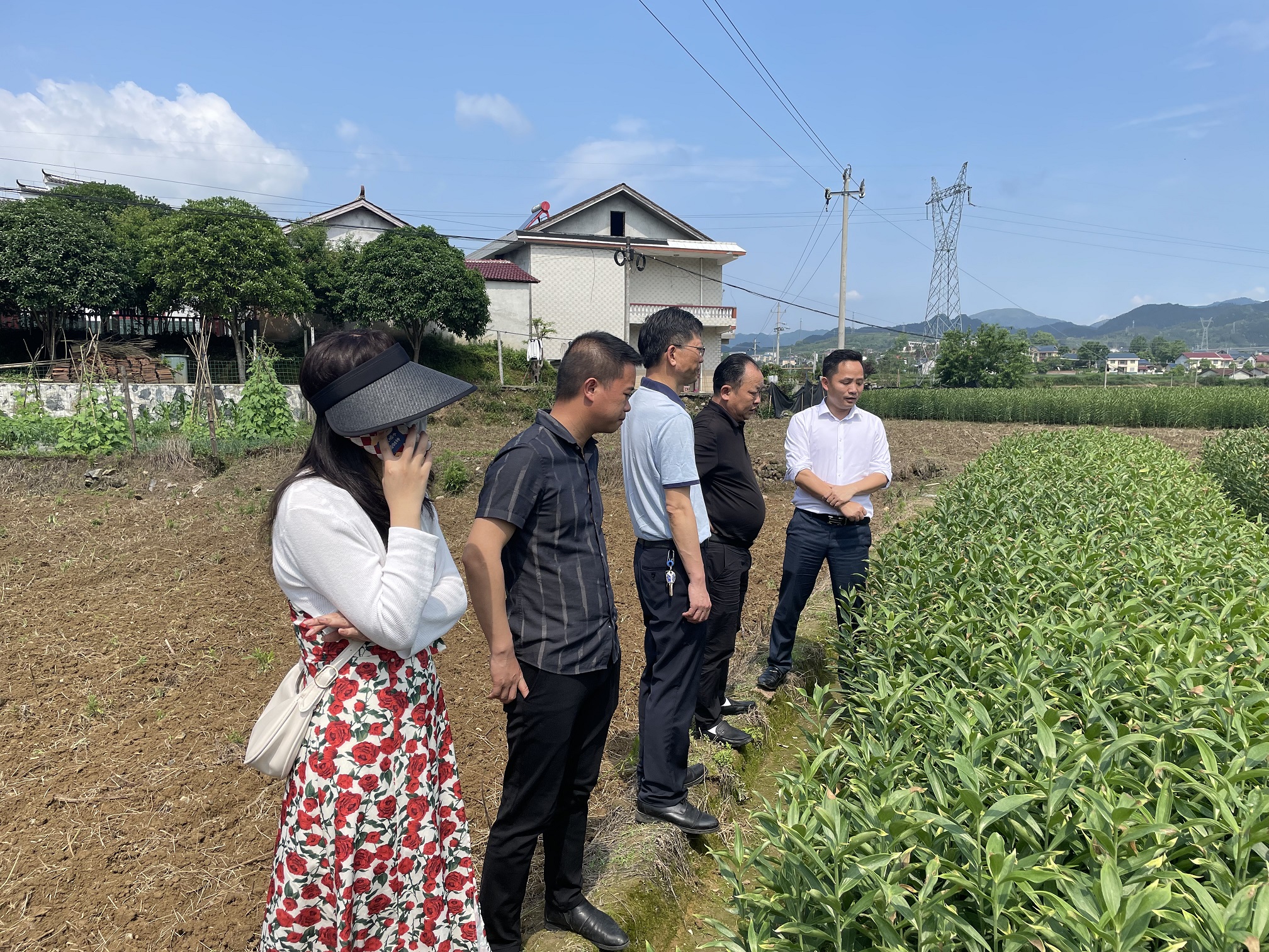县政协调研组到新建镇调研三大产业发展情况