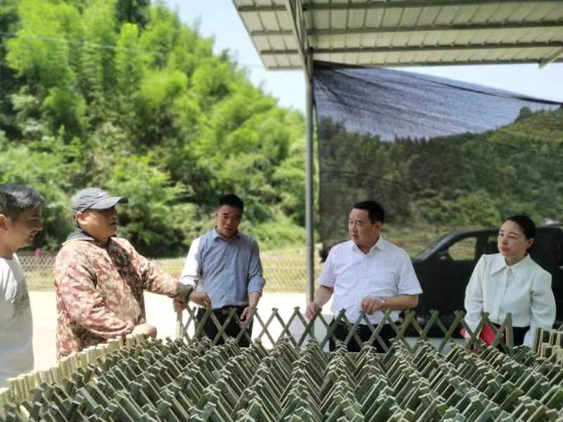 张必忠调研新路河镇产业发展情况及走访县人大代表