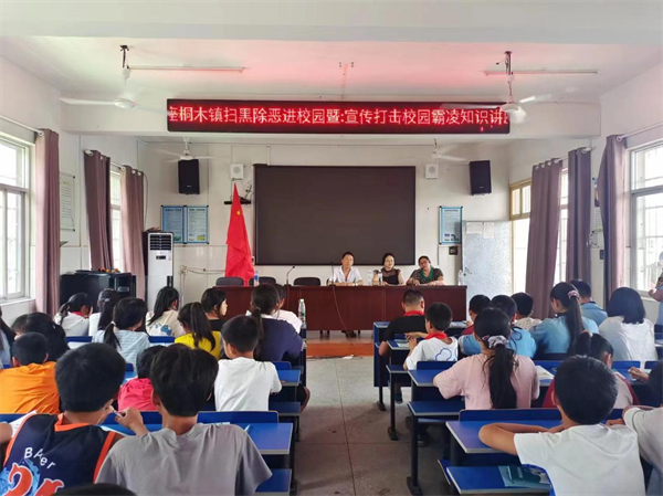 中方县桐木镇：安全宣传进校园
