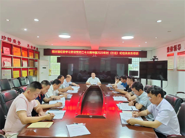 中方县桐木镇开展学习贯彻党的二十大精神暨2023年村（社区）纪检员业务培训
