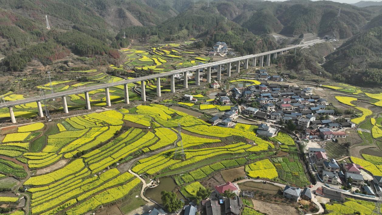 中方县新建镇：人居环境整治 绘就和美乡村新画卷