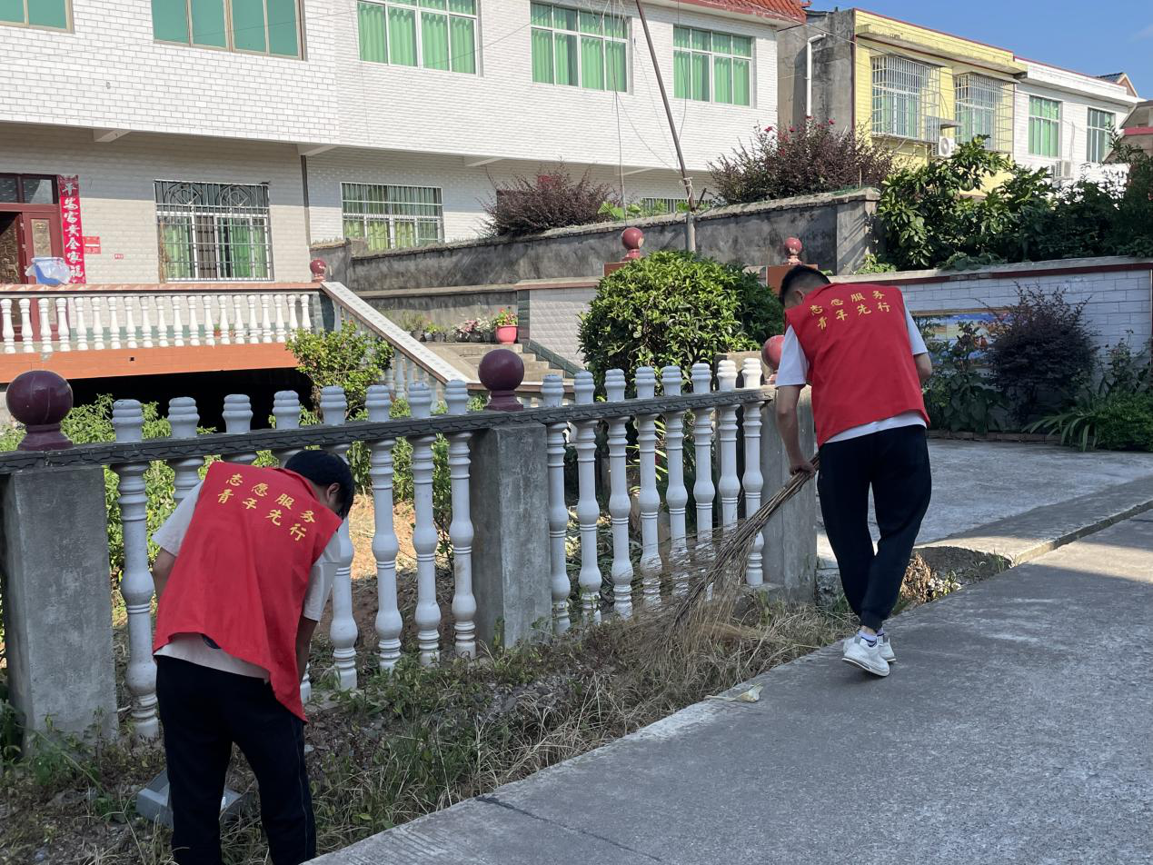 中方县桐木镇：“青力青为”彰显担当，全面助力环境整治
