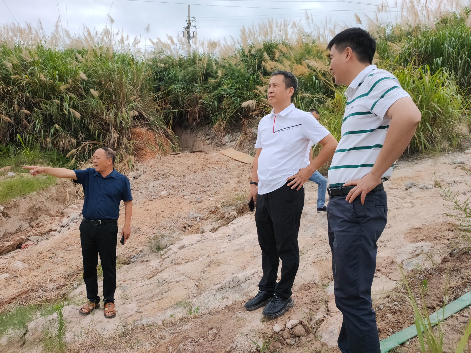 刘国龙到泸阳镇实地督导抗旱减灾工作