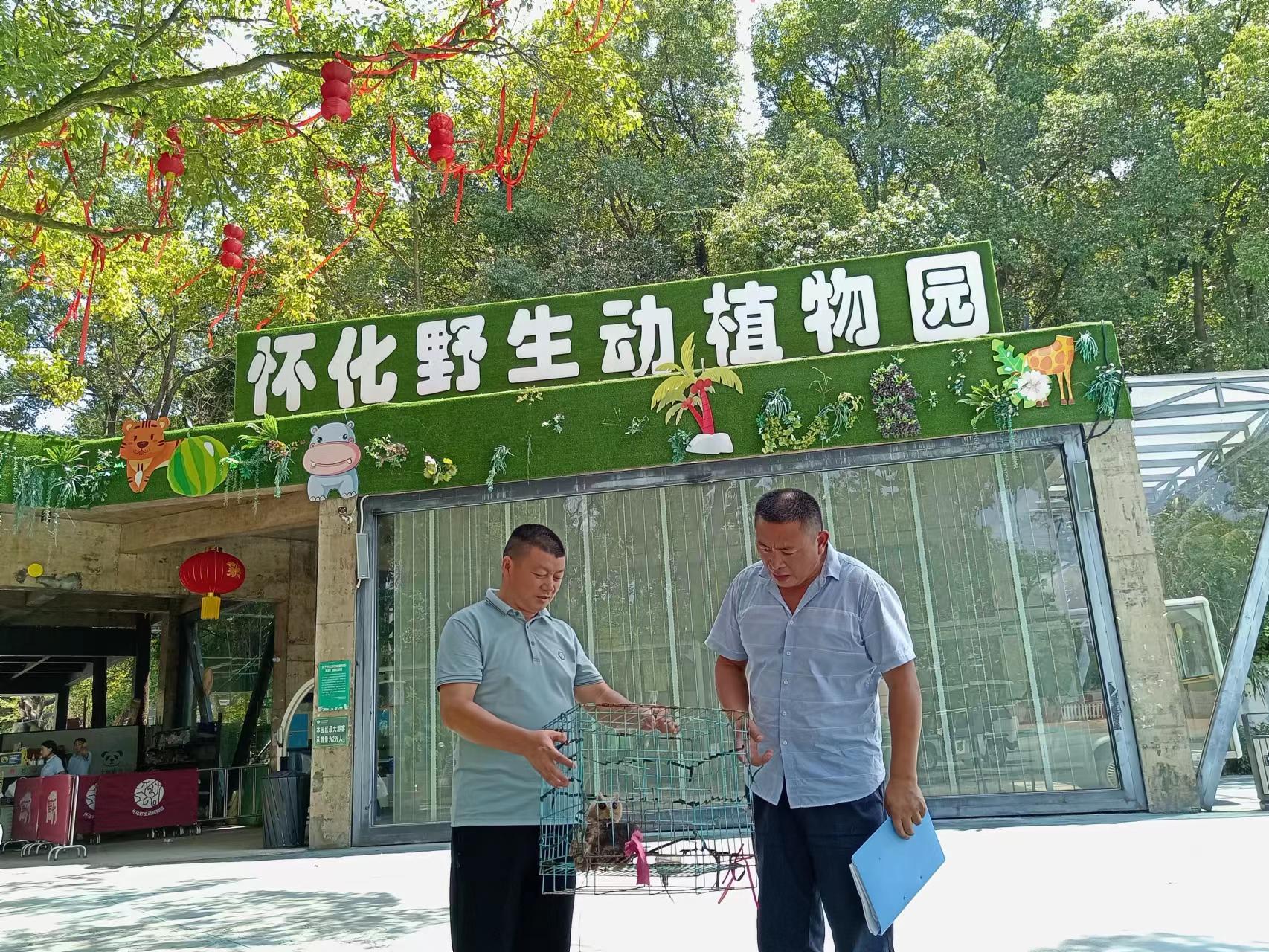 中方县花桥镇排叶村村民暖心救助国家二级保护动物猫头鹰