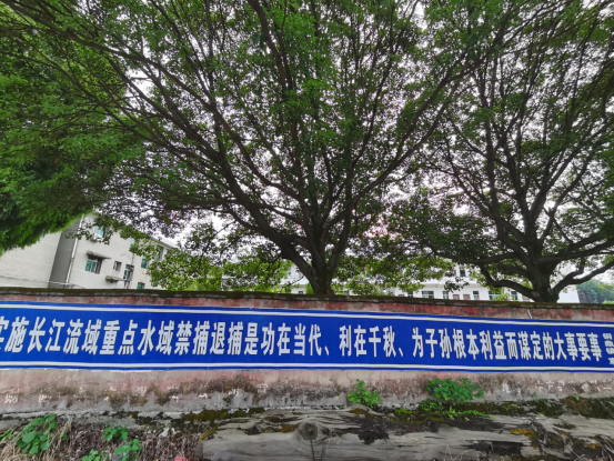 中方县铜鼎镇：心系退捕渔民 宣传禁捕政策