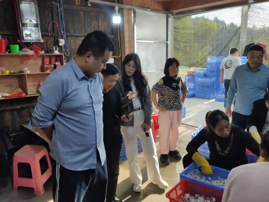 中方县接龙镇：回故乡，建家乡，走访“湘商回归”企业家