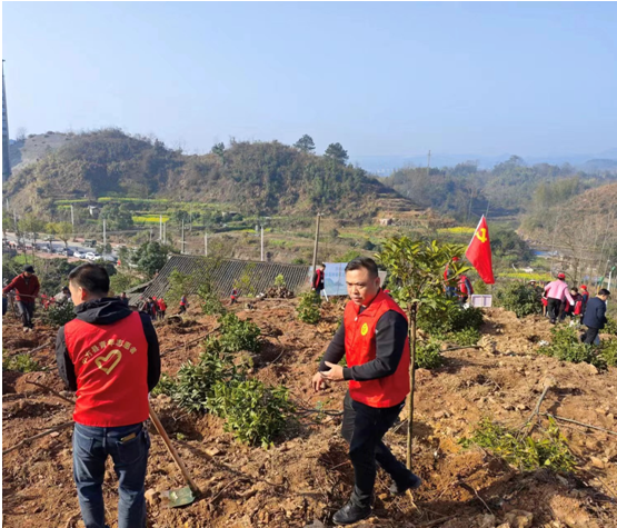 中方县应急管理局组织志愿者开展义务植树活动