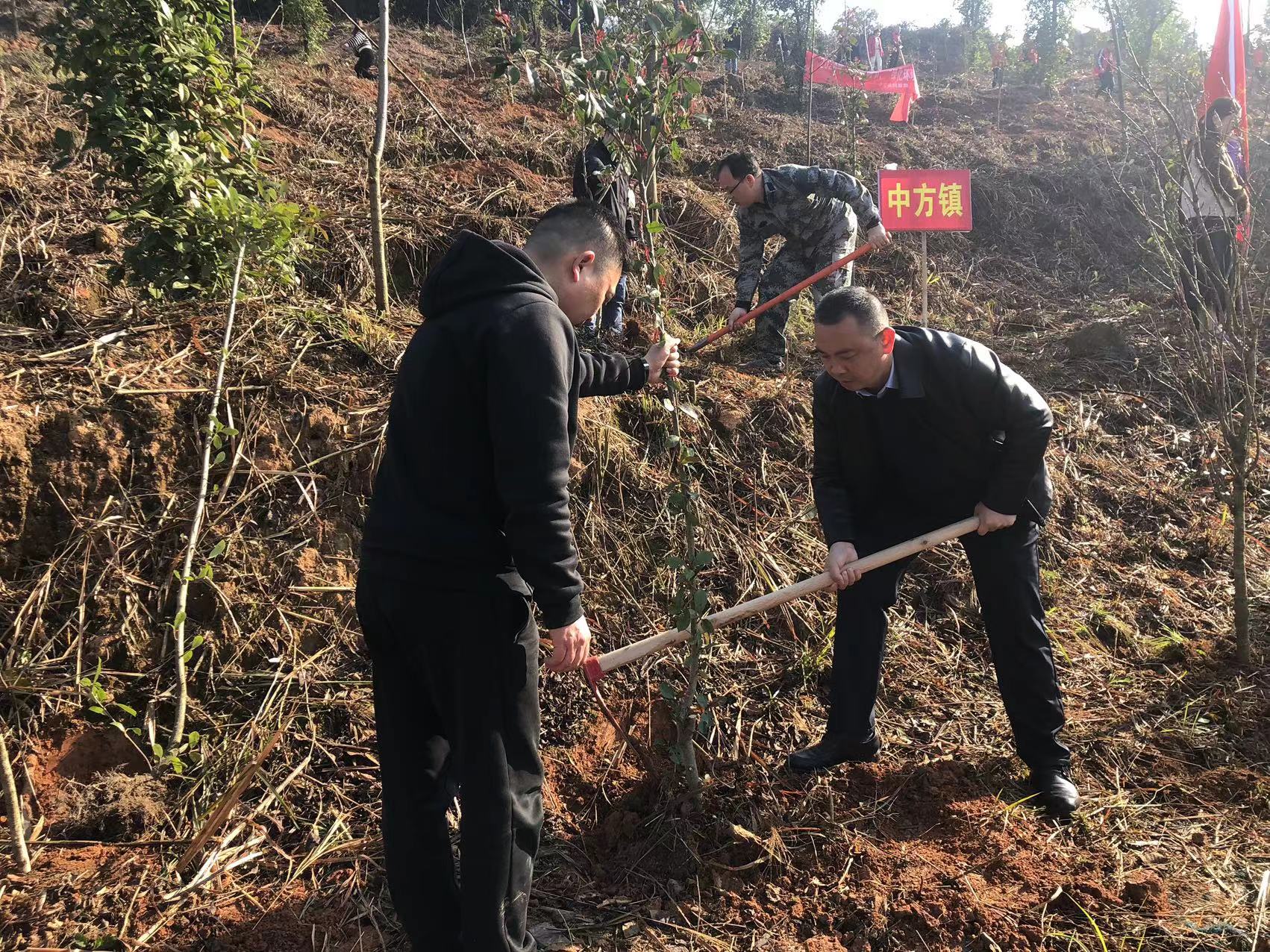 中方县中方镇：开展义务植树活动