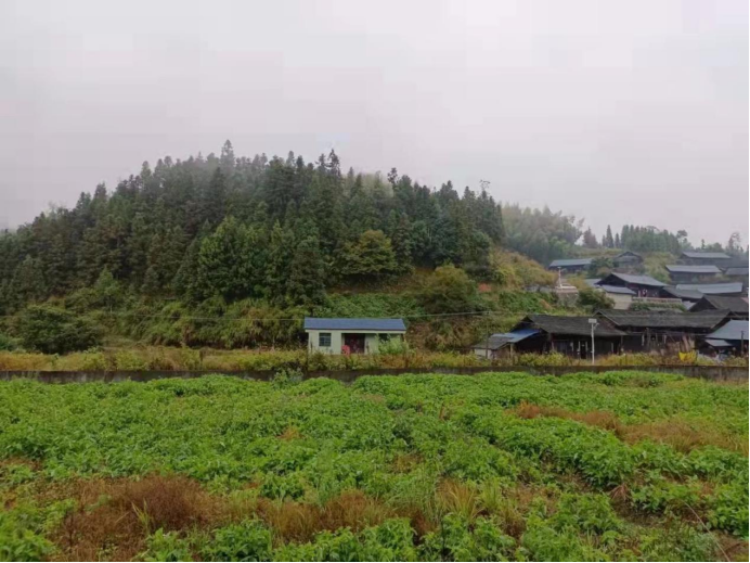 中方县新建镇：推动“党建+林长制”双线融合 激发山林“长治”新活力