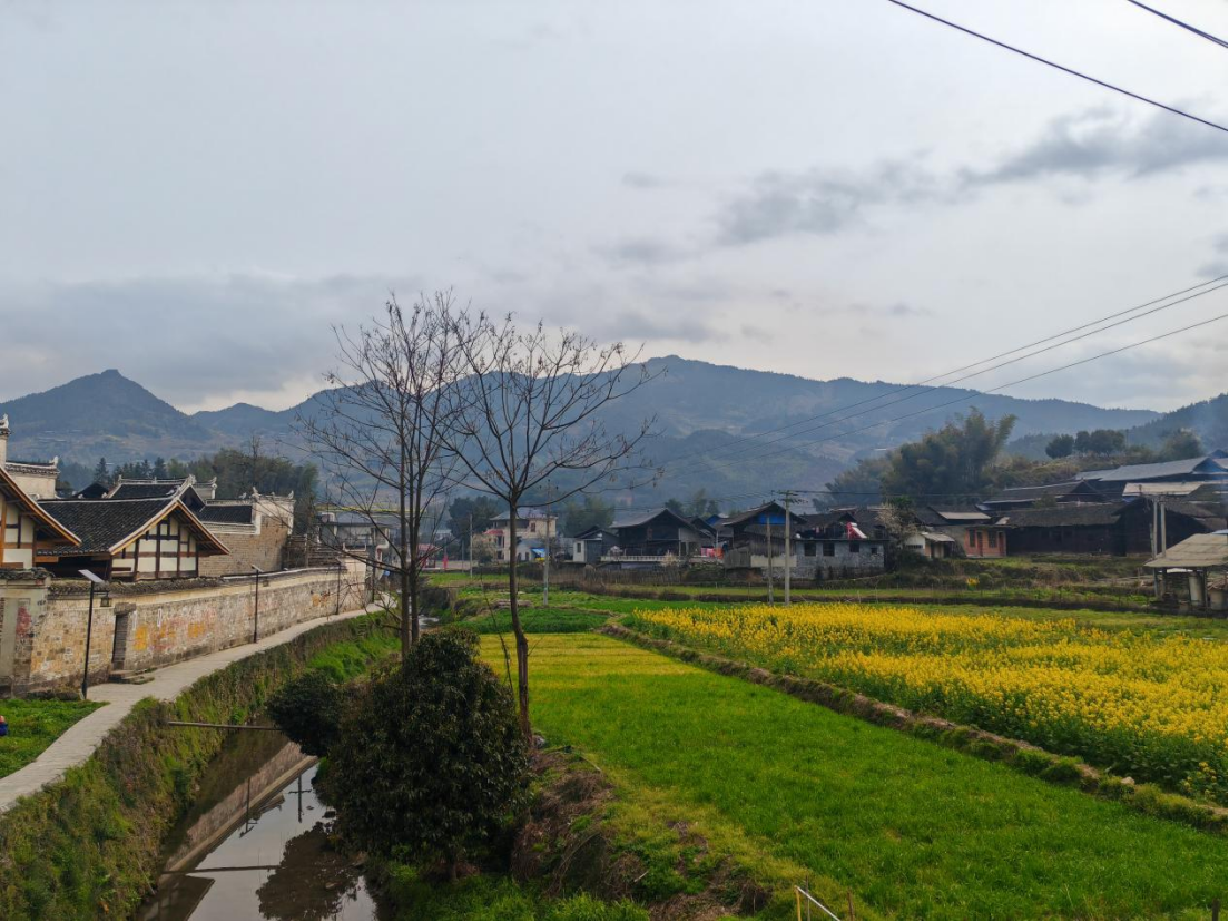 中方县铁坡镇培丰村：村庄清洁齐聚力 美丽乡村更宜居
