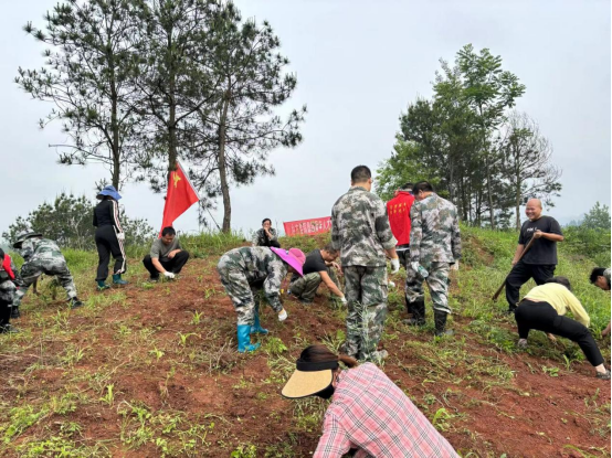 中方县铜鼎镇：扎实推进新增耕地“春苗”行动