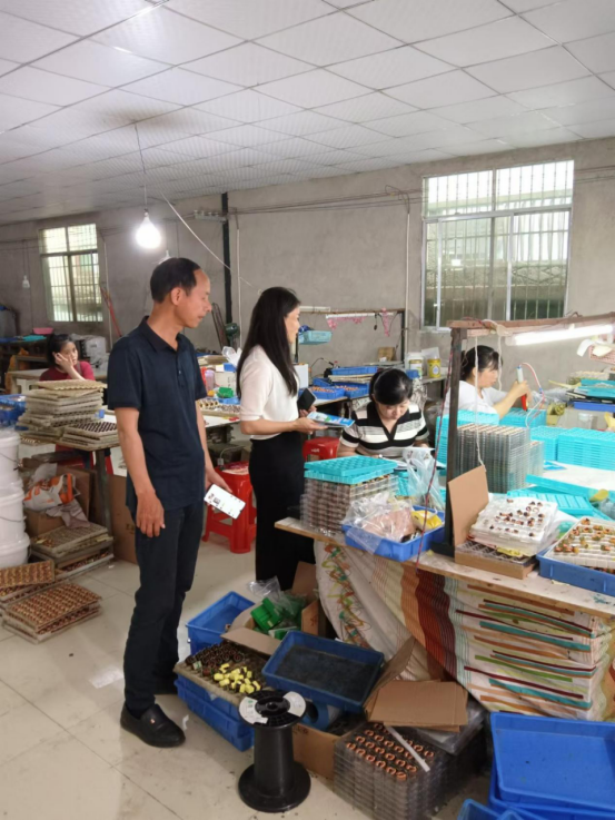 中方县花桥镇：惠农补贴政策火热宣传，助力农业增产农民增收