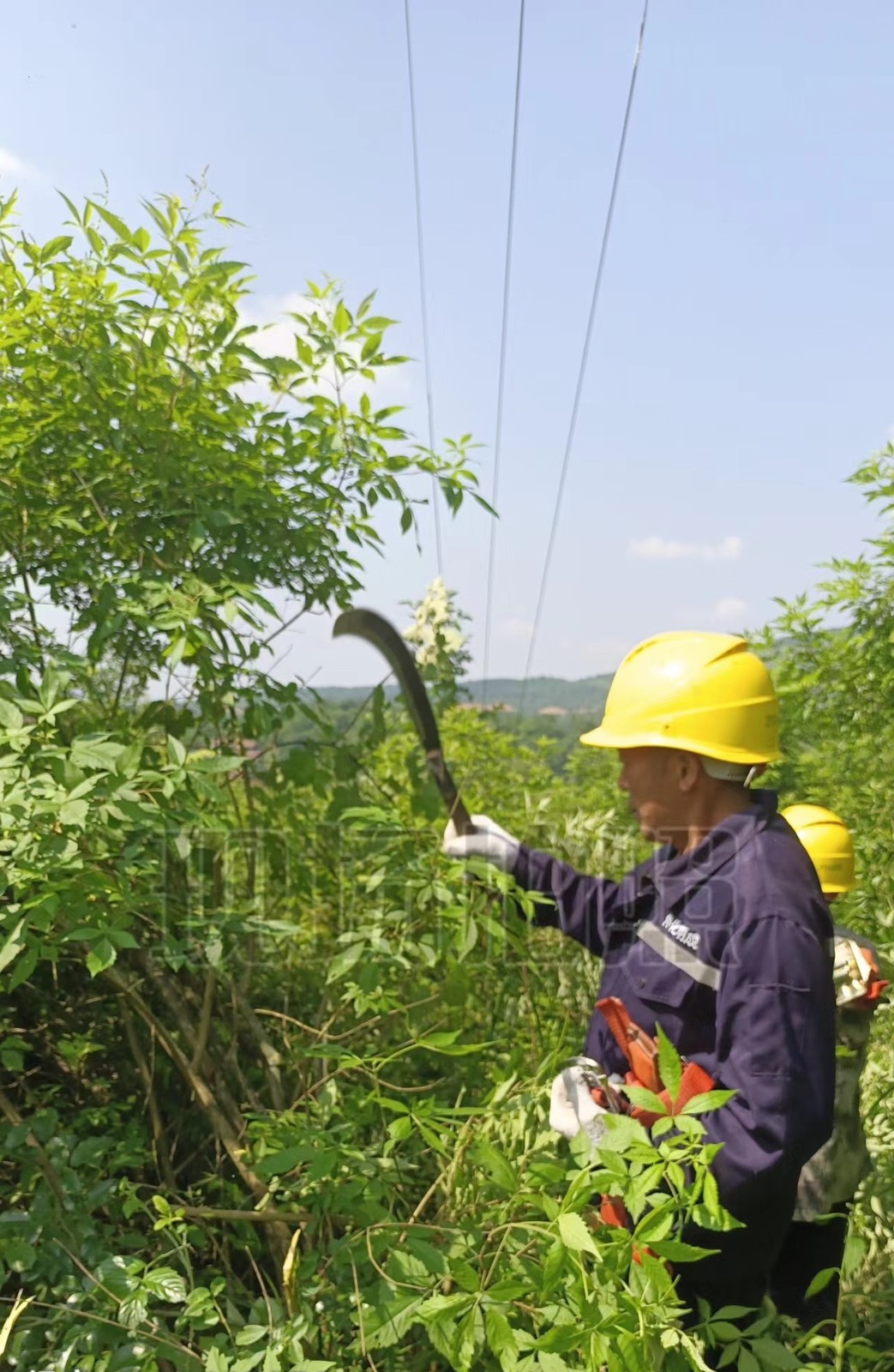 国网中方县供电公司：砍青扫障，确保电力供应