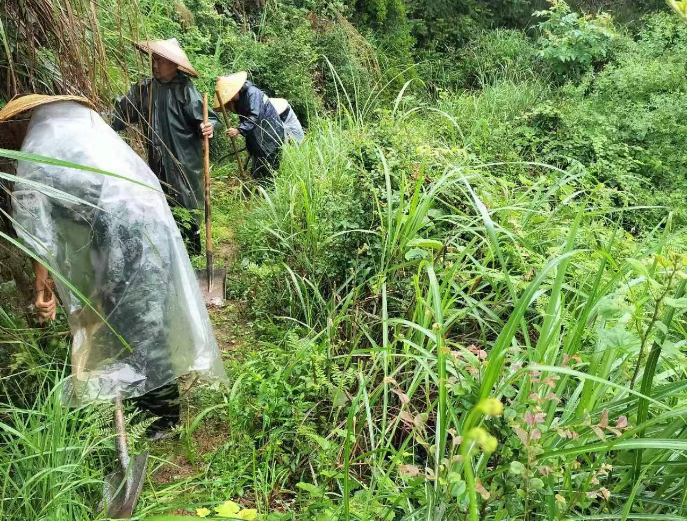 中方县铜湾镇：疏通灌溉水渠  把群众的心事办好